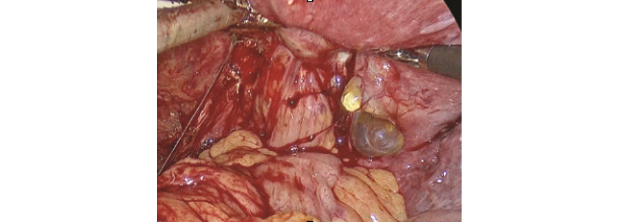 Case 2 - Medical scan